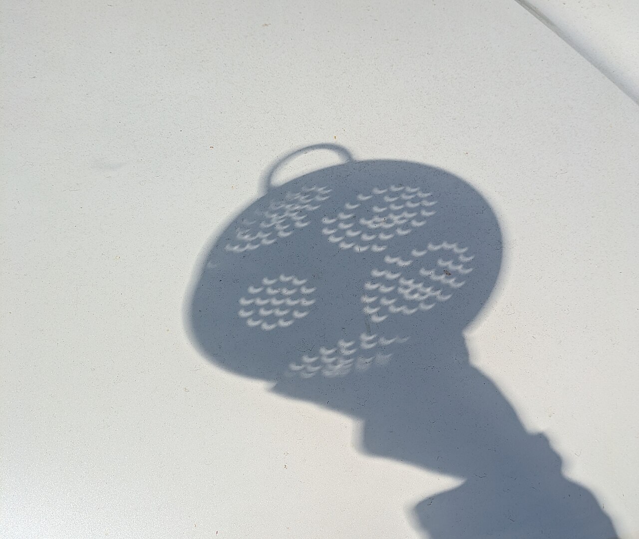 Shadow of a colander on the ground: each hole projects a crescent of the eclipsed Sun